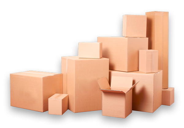 Cajas de cartón estándar Espabox